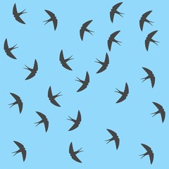 Swallow background