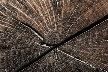 Fototapeta premium Vintage brown grunge hardwood top view