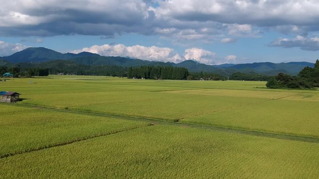 秋の田園風景　空撮　秋田県　農業　ドローン活用イメージ