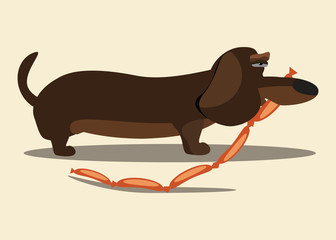 Dachshund dog vector illustration 
