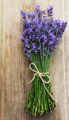 fresh lavender flowers