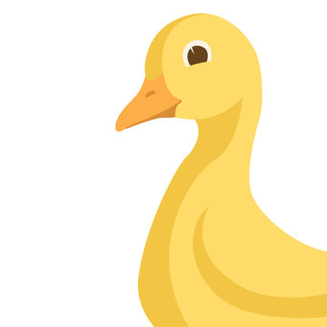 duckling head  vector illustration flat style   profile 