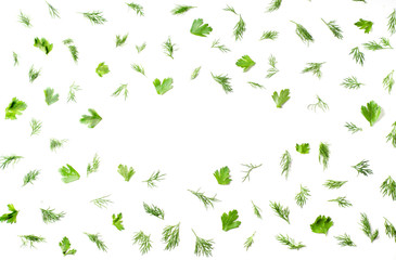 Pattern on a white background with dill, parsley. Space for text. Top view