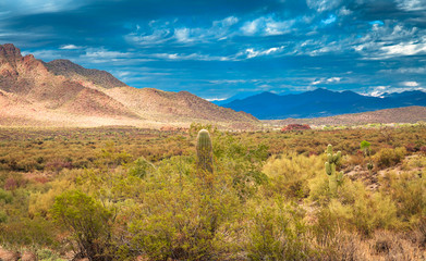 The many faces of the beautiful Sonoran Desert in Arizona makes this land so wonderful to explore, visit, hike and photograph. The rocky mountains, desert fauna, sky and landscape is unique