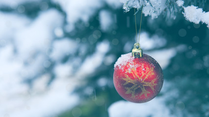 Christmas Ball hanging on a Fir Tree Branch. Christmas Background.