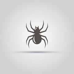 Spider isolated vector icon