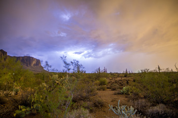 Obraz premium Monsoon storms in the Sonoran desert near Phoenix, Arizona causes lightening, misty, swirling clouds and a stormy look and feel to the desert