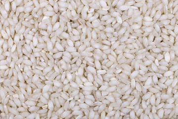 texture background of arborio rice