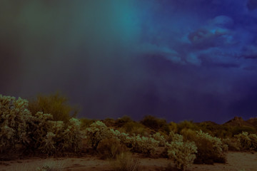 Monsoon storms in the Sonoran desert near Phoenix, Arizona causes lightening, misty, swirling clouds and a stormy look and feel to the desert