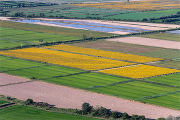 vue aérienne de champs près d'Arles dans les Bouches-du-Rhône en france