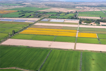 vue aérienne de champs près d'Arles dans les Bouches-du-Rhône en france