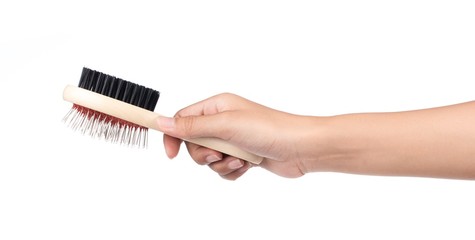 hand holding Comb for pet grooming isolated on white background.