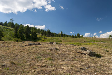 piedmont