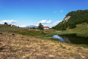 piedmont