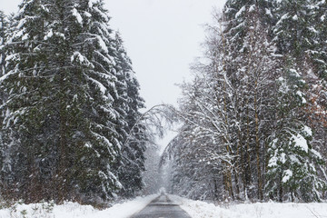 une route en janvier