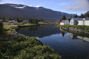 Fototapeta premium Islandia III