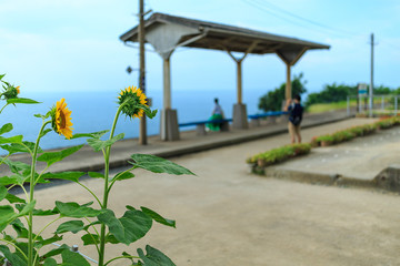 日本一海の近い駅、下灘駅（夏、愛媛県伊予市双海町）