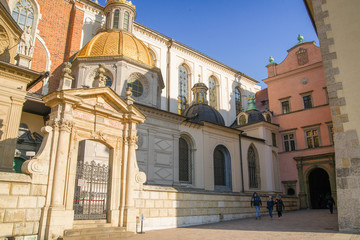 SONY DSC © Michal45