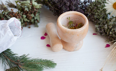 Herbs , berries and flowers on color wooden table background. Grinding dried herbs with a mortar...