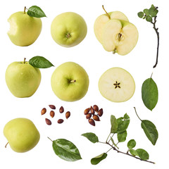 Green apple whole pieces and leaves set isolated on white background