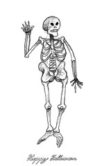 Hand Drawn of Human Skeleton For Halloween Celebration