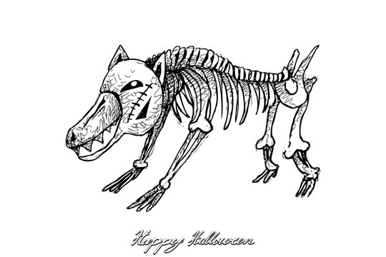 Holidays And Celebrations, Illustration Hand Drawn Sketch of Dog Skeleton Evil Isolated on White Background. Sign For Halloween Festival.