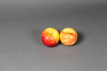Fresh Apples for the taking