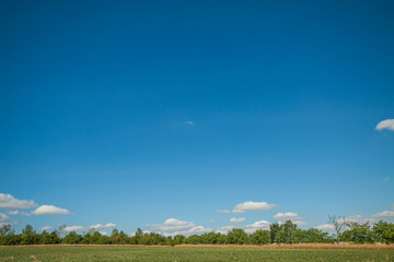 Landschaft im Sommer
