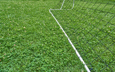 Soccer time