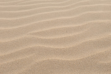 Fototapeta na wymiar Brown sand waves texture background. Empty sandy beach.