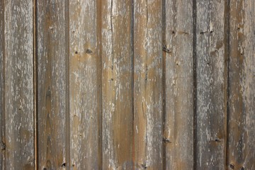 Fototapeta premium wood texture