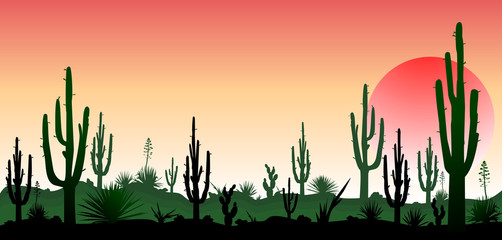 The stony desert, the sunset © Oleg Lytvynenko