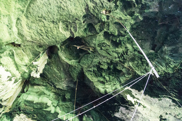 Tools to harvest bird's nest on cave ceiling, Niah Caves.