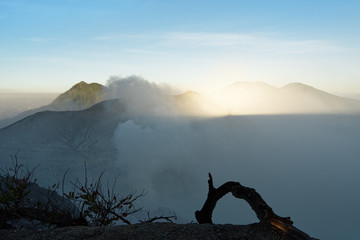 First daylight at the active volcano Ijen, view from the crater rim, shadow of the crater rim on the mountains in the background, fog, tree part in the foreground - Location: Indonesia, Java Island