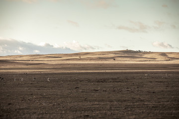 Australian farmland in drought