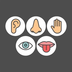 Sense organs flat vector icons	
