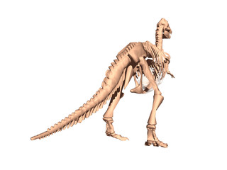 Dinosaurier Skelett