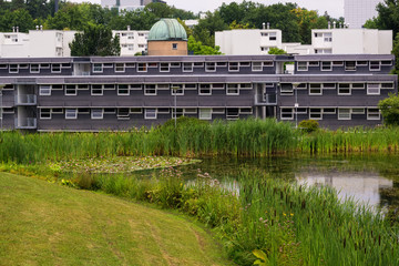Obraz premium Apartment buildings behind a small lake