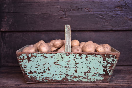 Cesta antigua hecha a mano con patatas de huerta. 