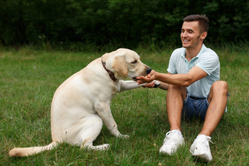 Happy young man feeding dog Labrador outdoors