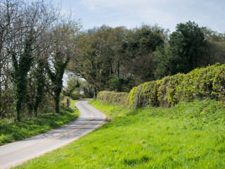 View of asphalt road in beautiful green countryside