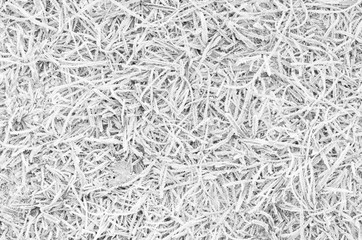 close up thin grass covered with frost