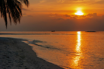 maldivian sunset with floatplane in the background