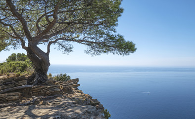 Fototapeta na wymiar Route des crêtes entre Cassis et La Ciotat. Paysage de la mer méditérannée vue du haut des falaises.