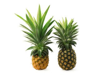 Group of ripe pineapple isolated