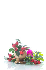 Ripe red briar berries on a branch