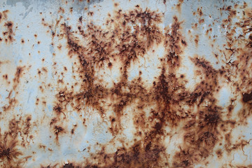 rusted zinc wall abstract texture background
