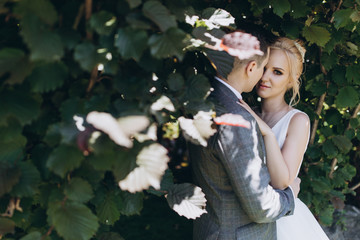 Walking newlyweds in nature.