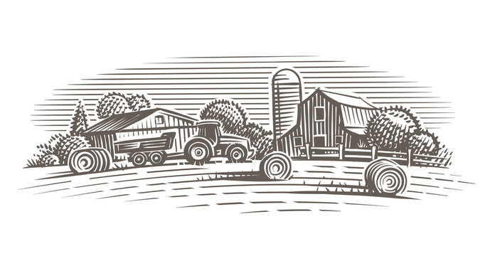 Farm landscape illustration. Vector. 