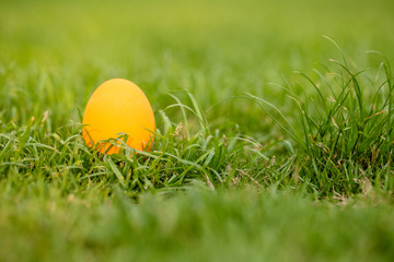 Colorful Easter eggs background. holiday, easter background. Colorful easter eggs on the green garden yard. symbol of easter's day festival. vivid color natural background. festive wallpaper.